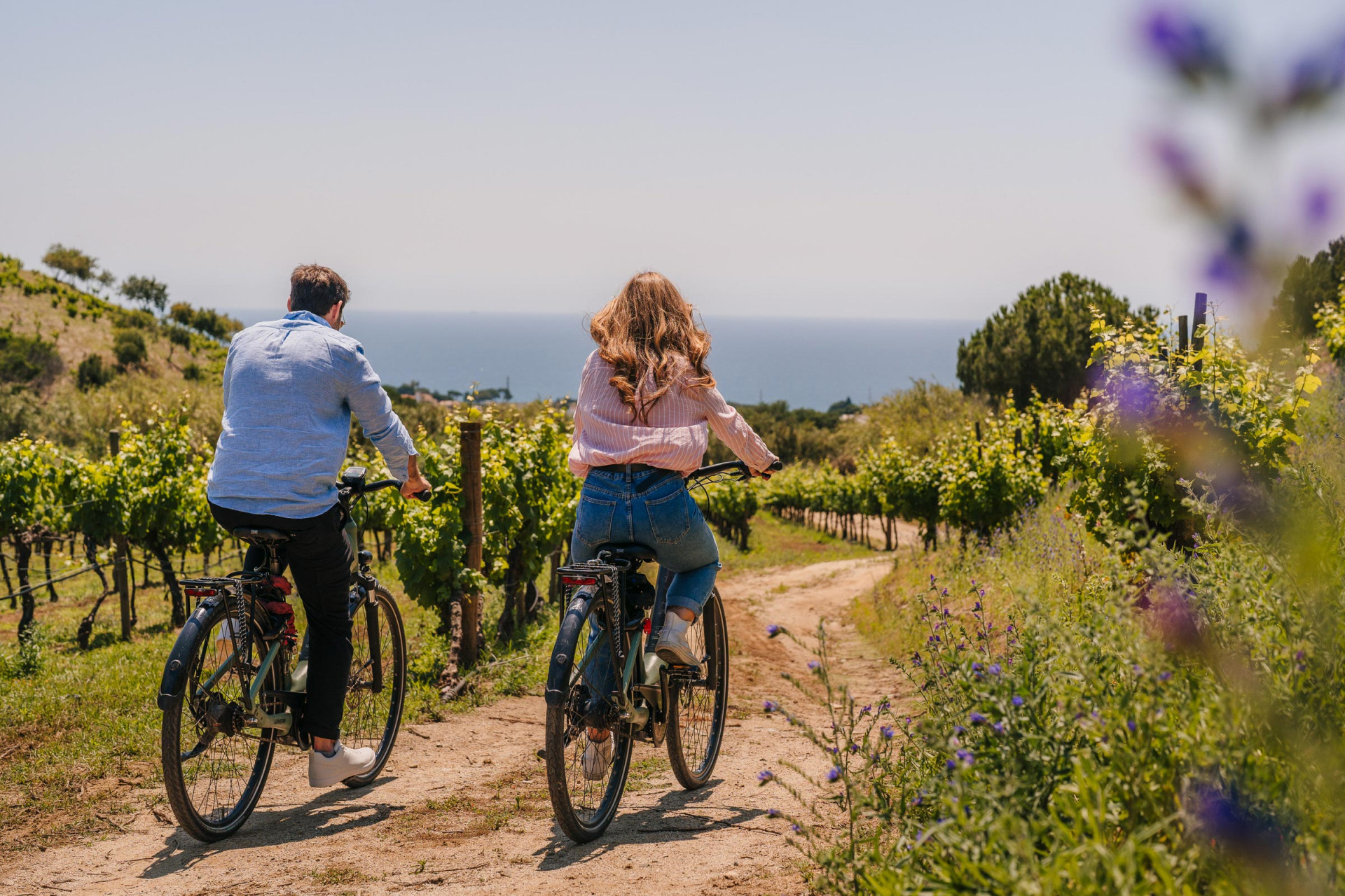 Beach ride to the vineyards from Barcelona Premium Small Group Tour